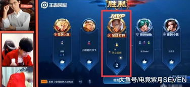 梦泪亲测狮子座皮肤,每把超神MVP,粉丝 你真坏,本来不想买