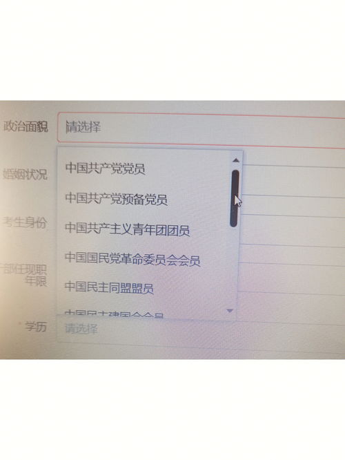 政治面貌一般填什么-图2