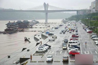 外地车自驾西湖怎么停车(杭州滨江区有免费停车场吗)