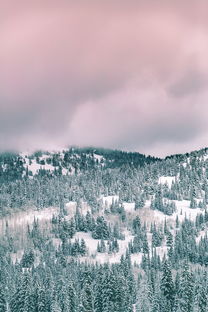 什么什么雪满山——探寻雪景的璀璨魅力与深邃意境，什么什么雪满山是什么歌