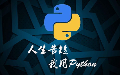 python不好找工作吗？在成都或浙江