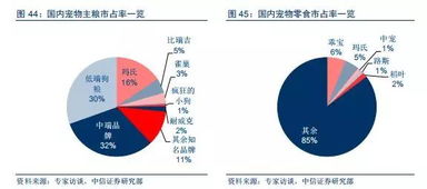 产品查重的重要性-保障品牌形象与市场竞争力