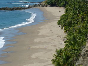 海滩,沙,海,波,假期,太平洋,海湾,海岸,性质,哥斯达黎加水稻,中美洲,热带地区,热带,景观,棕榈树,空,寂寞 
