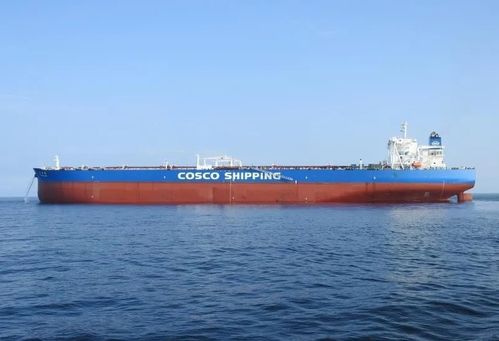 最大载重吨中国籍船舶入列 中国洋浦港