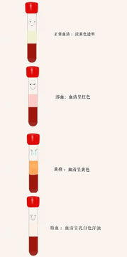 红配绿造句;关于红橙黄绿青蓝紫黑白灰，各写一段话？