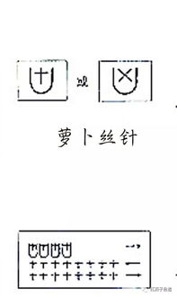 第554期 特色针法 萝卜丝针的编织方法与变通