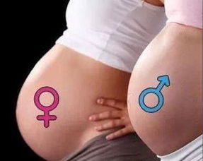 教你怎样看孕妇肚形判断肚子里是男孩还是女孩 0