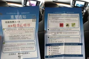 出境旅行,这些违禁物品不能带