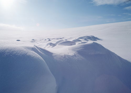 关于自然景象雪的诗句