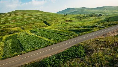 国道跑40码可以吗(国道上限速40,最多可以跑多少)