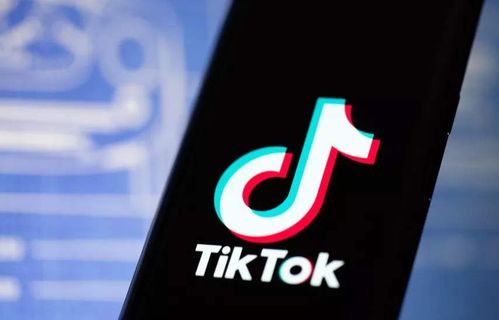 TikTok广告受众的分类和设置_TikTok广告如何开户