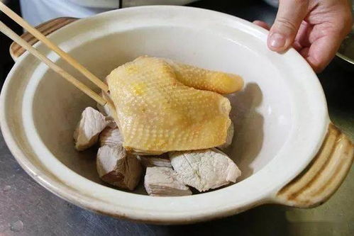 广东大厨的煲汤秘籍,花胶煲鸡正宗做法,一点都不腥,滋补又养颜 瘦肉 