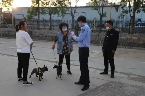 我市公安机关集中打击违法养犬行为 