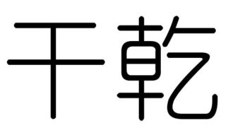 干字的五行属什么,干字有几划,干字的含义