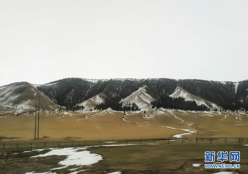 新疆哈密 冷冷冷冷冷 初夏时节 来场雪降降温 