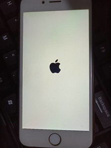 Iphone6无限重启怎么解决 