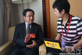 湖北省第十次党代会代表信心满怀谈发展 