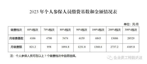 哈尔滨养老保险2023年缴费标准(哈尔滨养老保险费特殊政策)