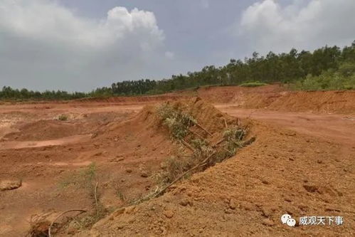 我国为何不用机械，大面积耕地呢(中国农业为什么不集中机器化)