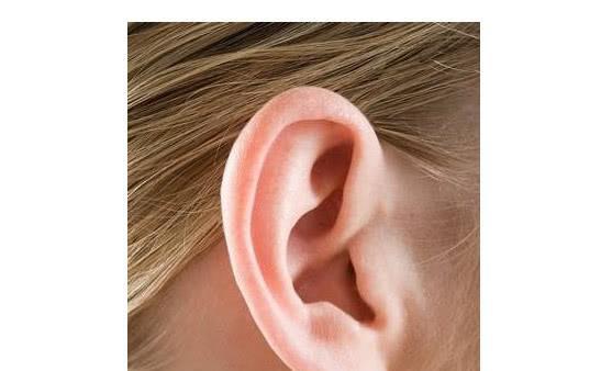人们都说耳垂大是福,那么耳朵哪几个特征,最长寿呢