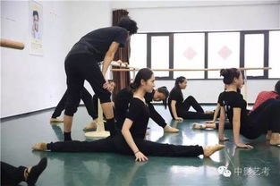 北京北影艺考培训