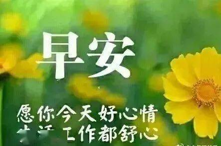 温馨的早上好祝福语简短,非常漂亮好看的早安动态图片带字