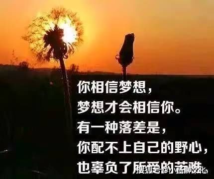 生活的美名言,关于生活美的现代名言？