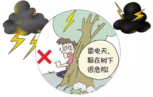 雷电灾害 中国气象用科学实验闪出一个未来