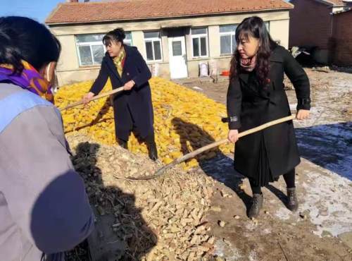 调兵山市顾家房村 冬天送柴禾 温暖百姓心