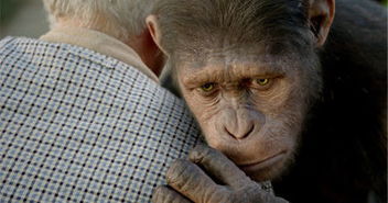 《猩球崛起》中猩猩“凯撒”微妙的情感变化是影片最大亮点。