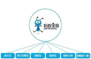 支付宝蚂蚁金服的信封的内容是什么？