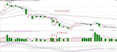 现在经常听说公司上市,股票飞涨,个人身价几十亿,到底是怎样一回事?我很迷茫?