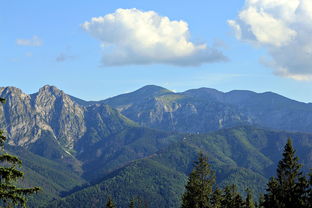 鼎湖山，自然与心灵的交响，鼎湖山的作文300字写风景