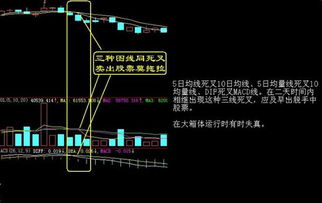 为什么股市的钱会蒸发呢？都蒸发到哪里去了？求股票大神指导讲解