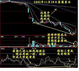 有炒短线的朋友吗？收益如何？