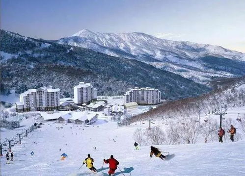 国内五大滑雪场排行 想滑雪的你赶快行动起来 