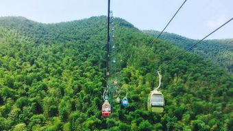 宜兴竹海风景区景点门票 竹美水秀