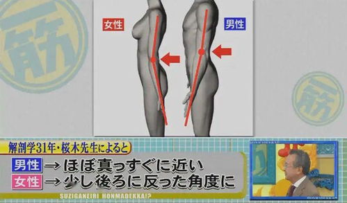 放开那个伪娘,日本解剖学教授教你如何分辨女装大佬,这次不会再约错了