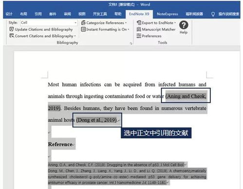 中文期刊常用endnote格式 快速搞定论文里的参考文献格式 Endnote 实战攻略来了...