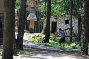 56岁,他隐居山野当石匠,20年后,造出了惊艳世界的300亩石头城堡 搜狐 