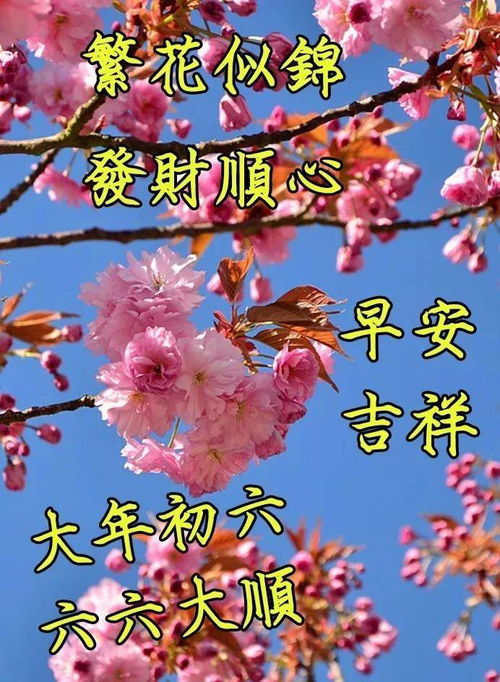 大年初六祝福语经典-图2