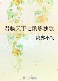 君临天下之酌影独歌 凌亦小铁 晋江文学城 