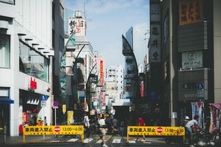 怎样出国去日本打工(图1)