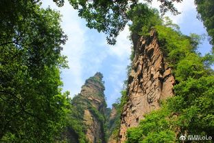 张家界旅游,您最关注的八大问题 错过绝对后悔 