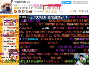 斗鱼强迫主播加公会,人气主播沦为商品被线下拍卖,引网友吐槽