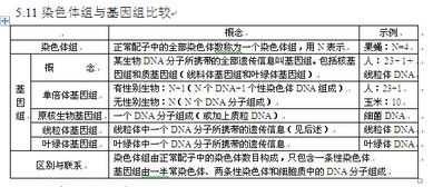 染色体组的知识点