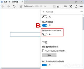 win10网页没有不显示不出来