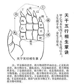 陈益峰 天干理论的起源和内容