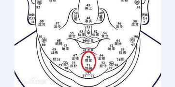 超准的百岁面相预测术,收藏了终身受用 下