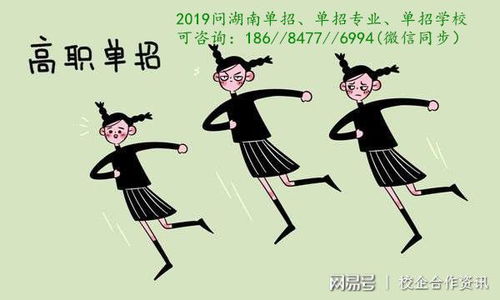 2019年湖南高职单招入学考试 语文篇 语文考试大纲 面向普通高中